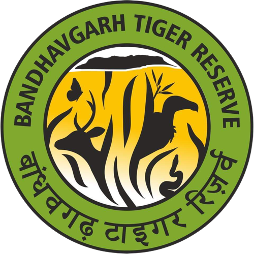 Bandhavgarh Tiger Reserve